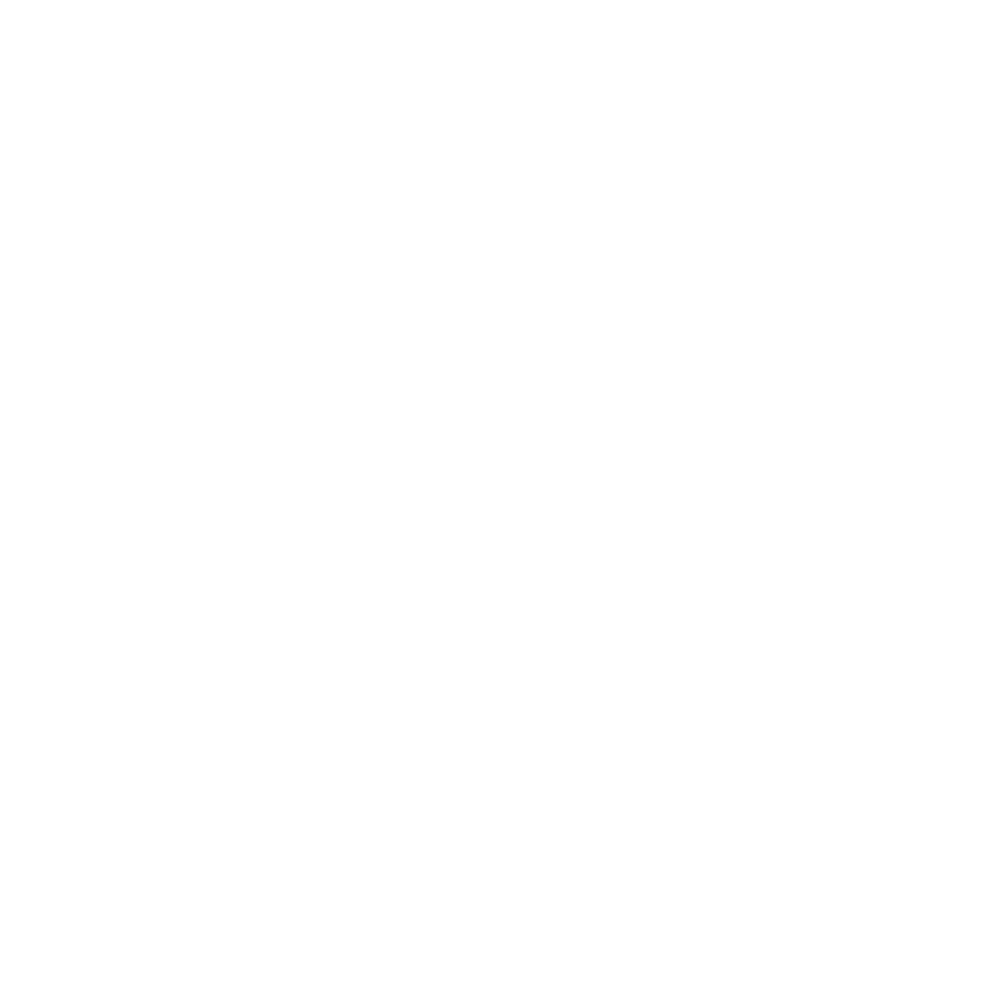 nuraii-logo