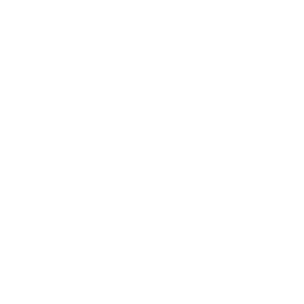 stirlcious-log