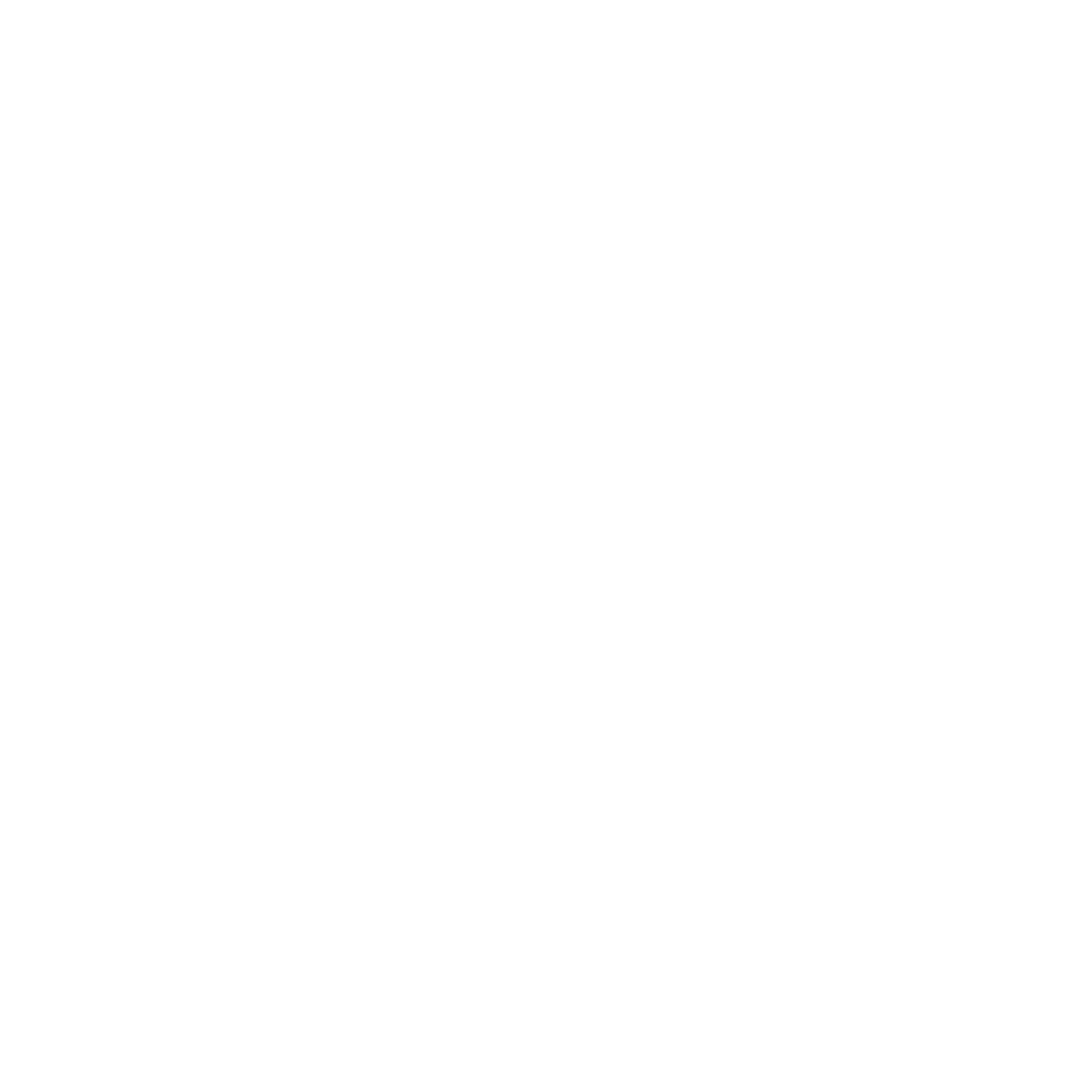 unique-intensity-logo
